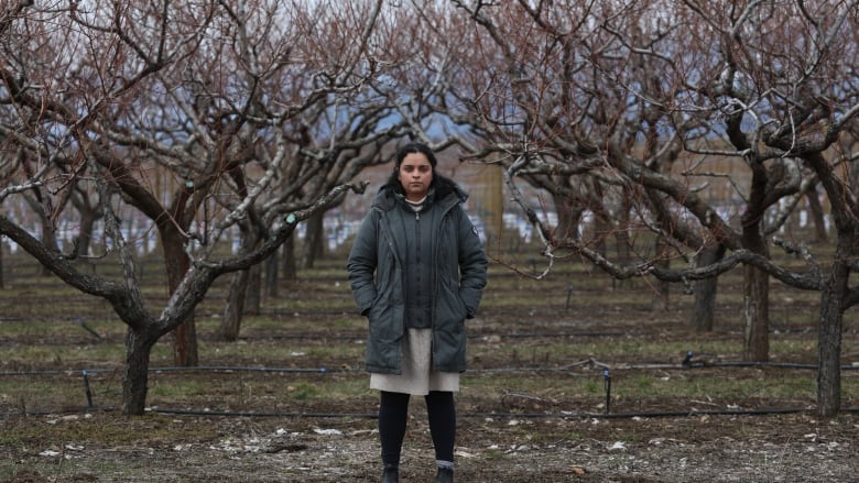 A woman stands in an orchard of barren trees with overcast skies.