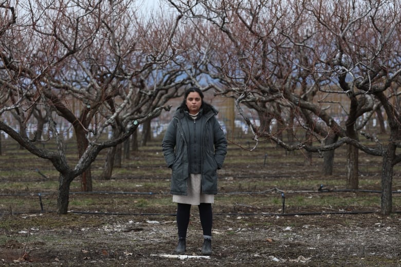 A woman stands in an orchard of barren trees with overcast skies.