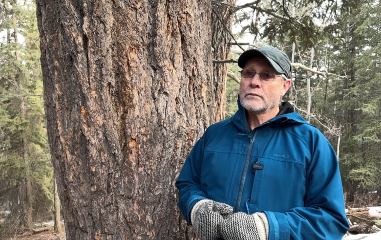 Kevin Lee stands next the trunk of a huge Douglas Fir tree.