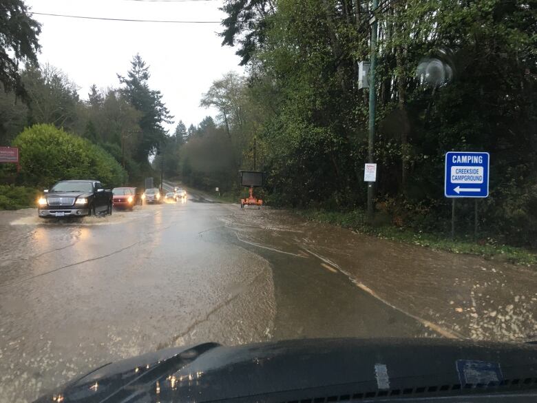 Cars move along a flooded forest road.