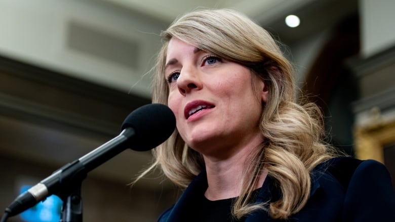 A woman stands in front of a microphone.