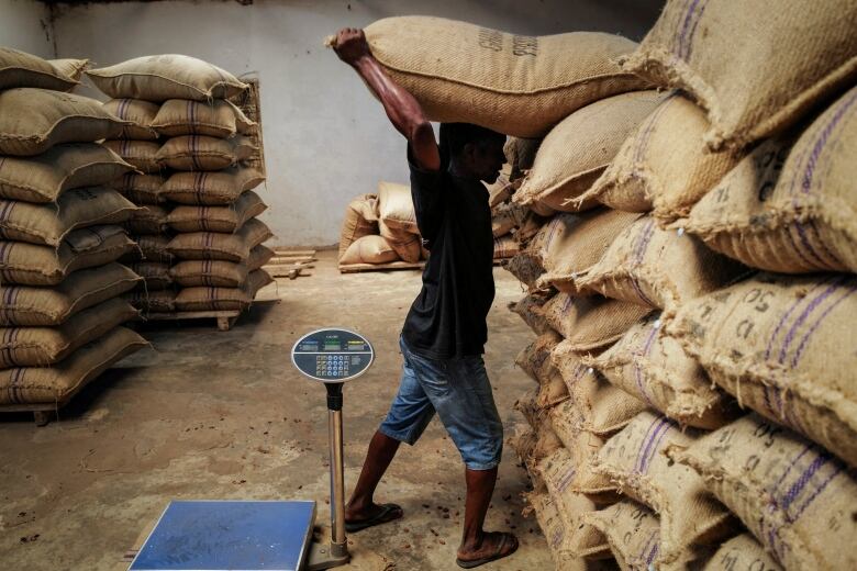 A person carries a large sack of cocoa beans over his head in a factory.