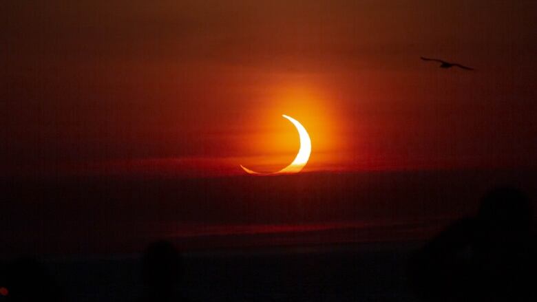 A close shot of the sun, partially covered by the moon, as it rises from the horizon.