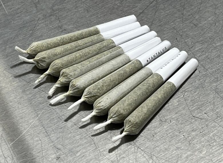 a photo of rolled cannabis cigarettes.