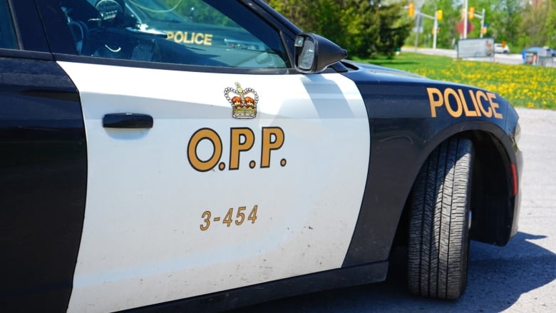 Close-up shot of an OPP police car on a sunny day.