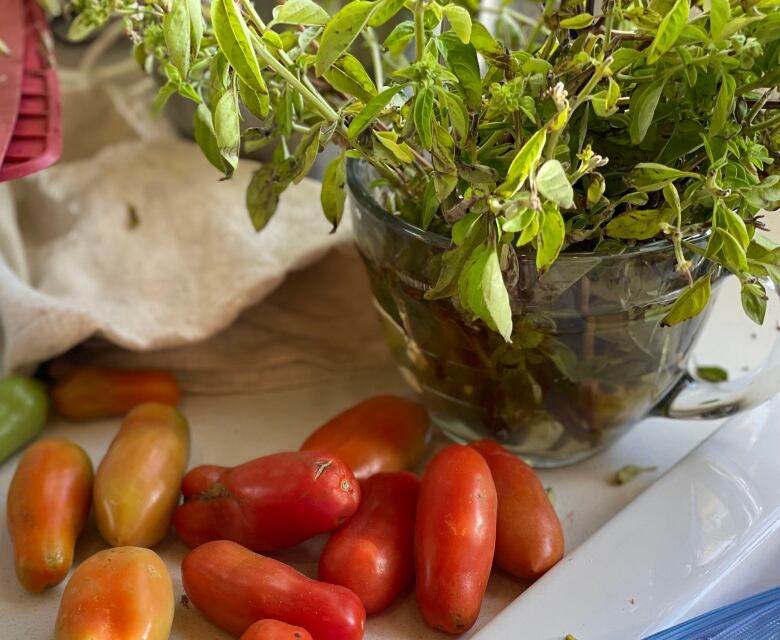 Tomatoes on a counter near a container of basil