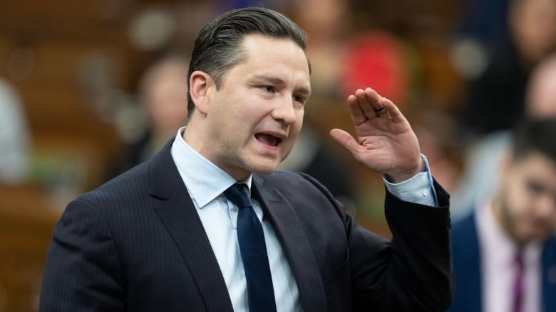 Leader of the Conservative Party Pierre Poilievre rises during Question Period, Wednesday, April 17, 2024 in Ottawa.