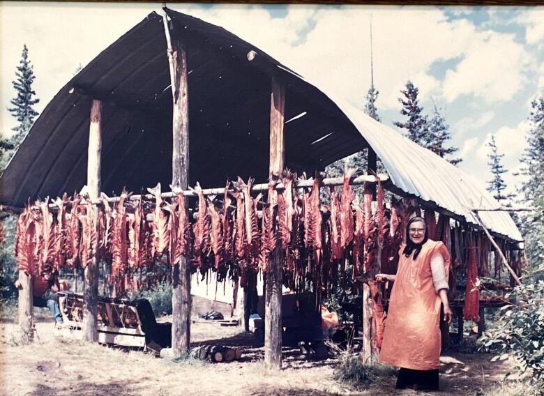 An archive photo of rows and rows of fish drying in a tall covered area with a lady standing beside the fish.