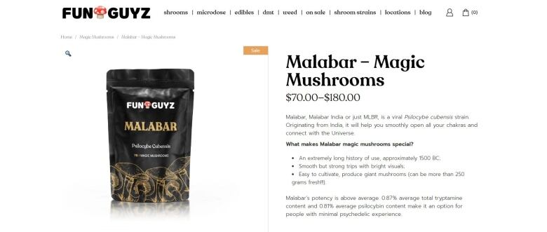 magic mushroom packet on website