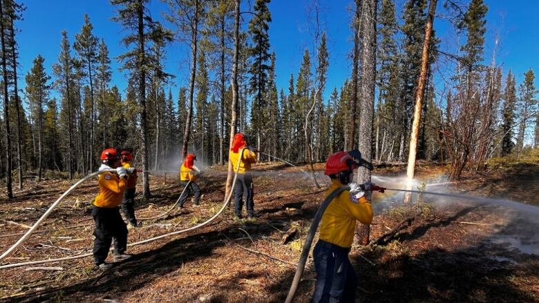 Firefighters walking into the woods with hoses over their shoulders. 