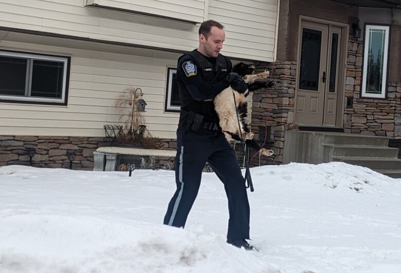 A man wearing a uniform walks away from a home carrying a small goat. 