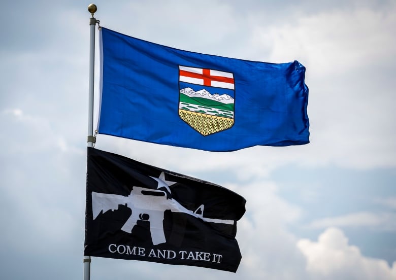 An Alberta flag and a pro-firearms flag are displayed outside a rural residence near Crossfield, Alta., Tuesday, June 13, 2023.