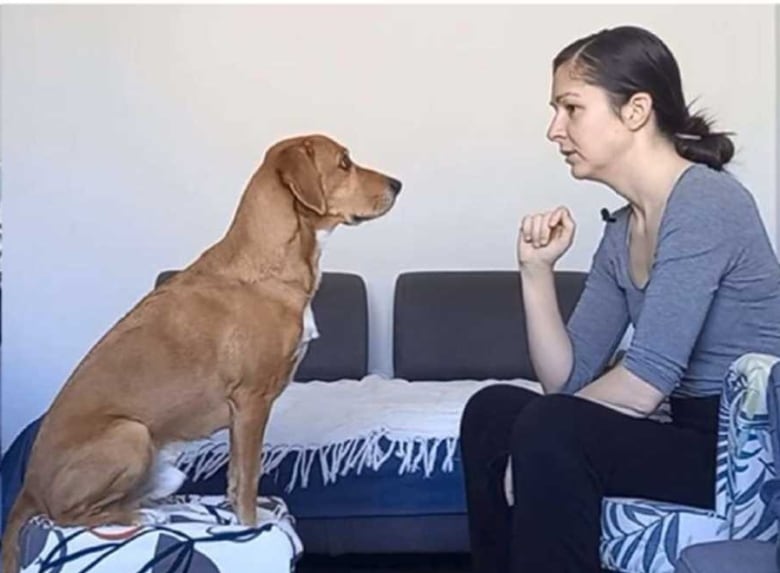 A dark-haired woman sits opposite of a brown dog