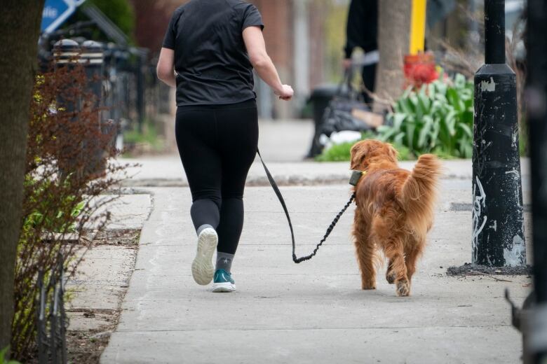 A person is jogging with their dog. The dog has reddish-brown fur, and the owner is wearing a dark t-shirt and leggings and blue jogging shoes. 