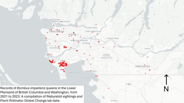 A map of bee sightings in B.C. Lower Mainland and parts of Washington state.