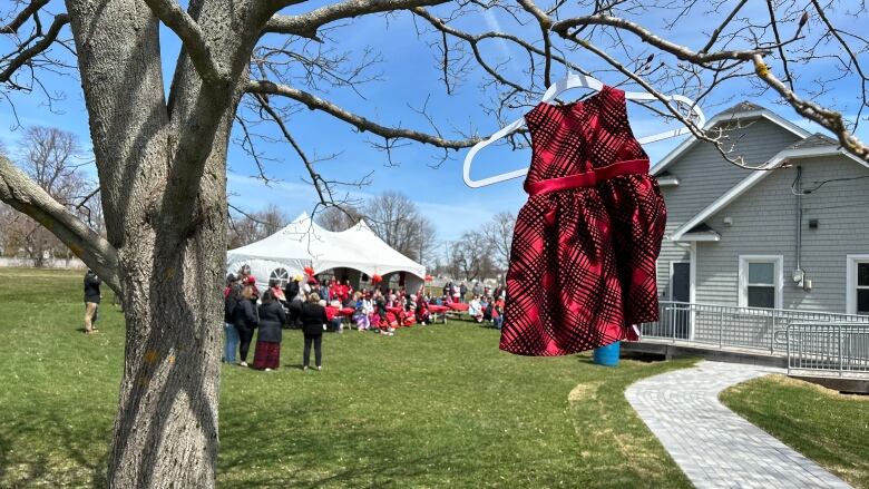 Small red dress hanging from a tree.