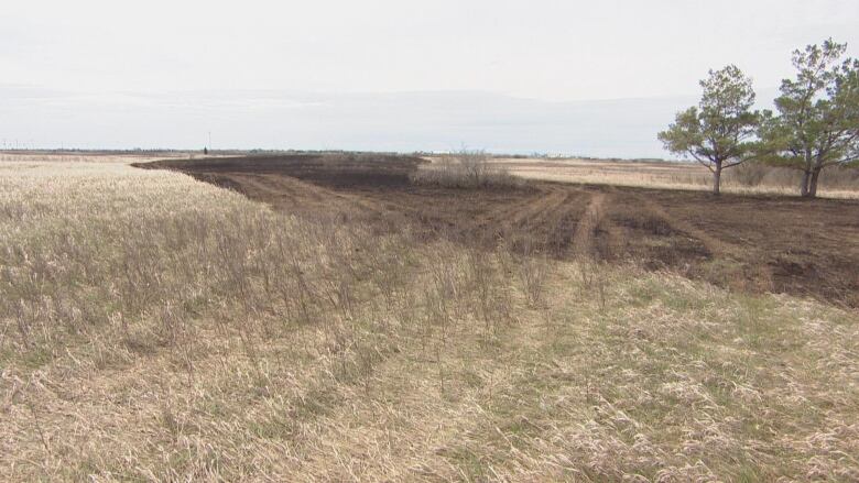 Field with dark, burnt grass