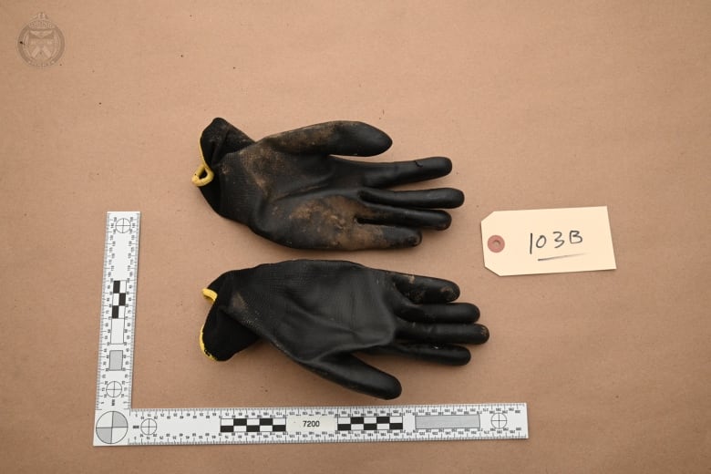 A dirty pair of black work gloves.