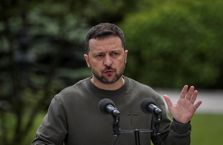 A bearded man in a green shirt speaks at a podium