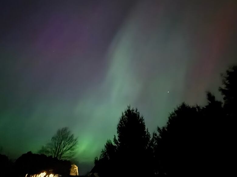 Green hued northern lights with trees in the foreground