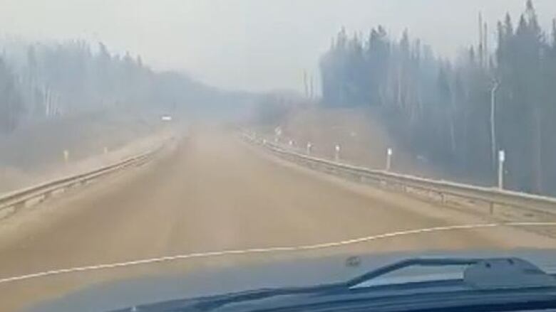 A road with trees and smoke in the distanfe 