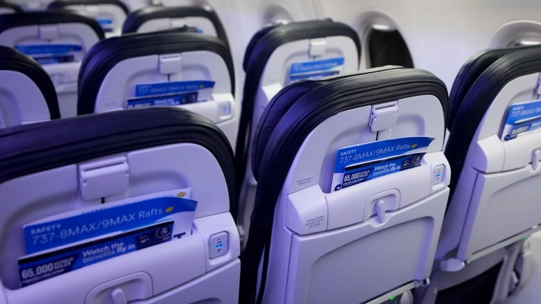 The backs of seats of a commercial airplane are shown, with a focus on the safety guides tucked into the pockets of the seats.