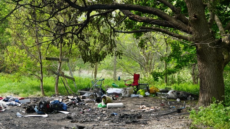 A burnt out area with blackened junk sitting below a singed-looking maple tree