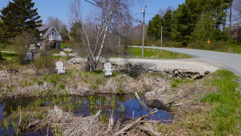 A pond is edged by wetland vegetation and a rock retaining wall, topped with gravel.