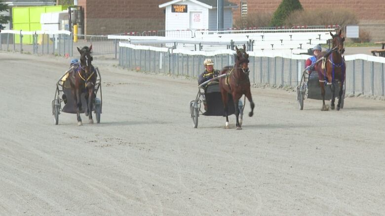 Three harness racing horses trotting along the track.