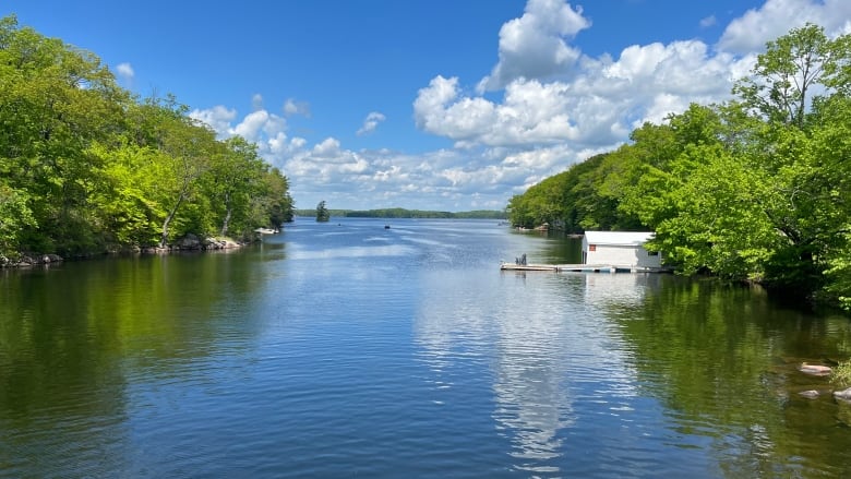 A lake on a sunny spring day.