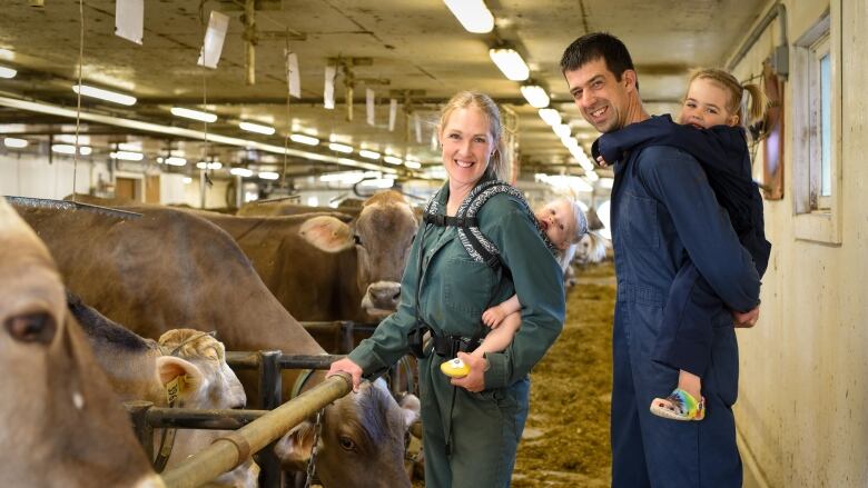 Dairy farming couple standing with their children in a barn with brown, Swiss cows.