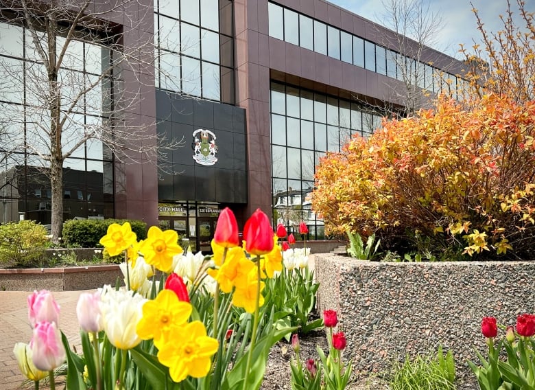 Yellow daffodils and tulips, red tulips, pink tulips and off-white tulips are in a planter in the foreground of a brick-and-glass building labelled City Hall.