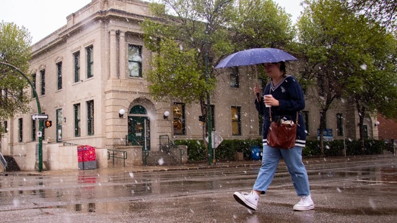 A woman carries an umbrella while walking in a rain-snow shower