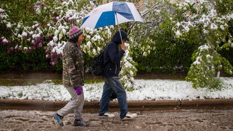 Two people walk in a snow storm.