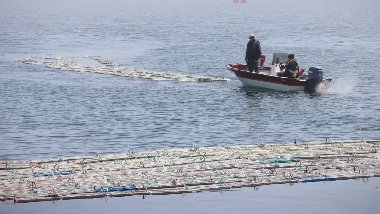 A small motor boat with two men tows a flotilla of plastic crates with colourful rope handles in water.