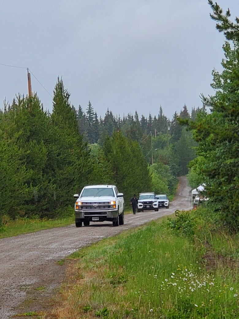 Several RCMP cruisers and a pick up truck are parked in the distance on a gravel road between trees. 