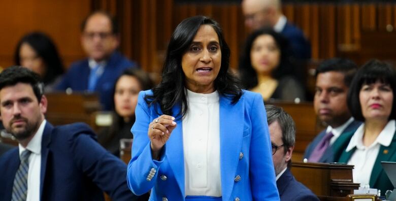 President of the Treasury Board Anita Anand answers a question during question period in the House of Commons on Parliament Hill in Ottawa on Tuesday, May 28, 2024.