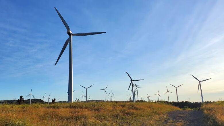 wind turbines