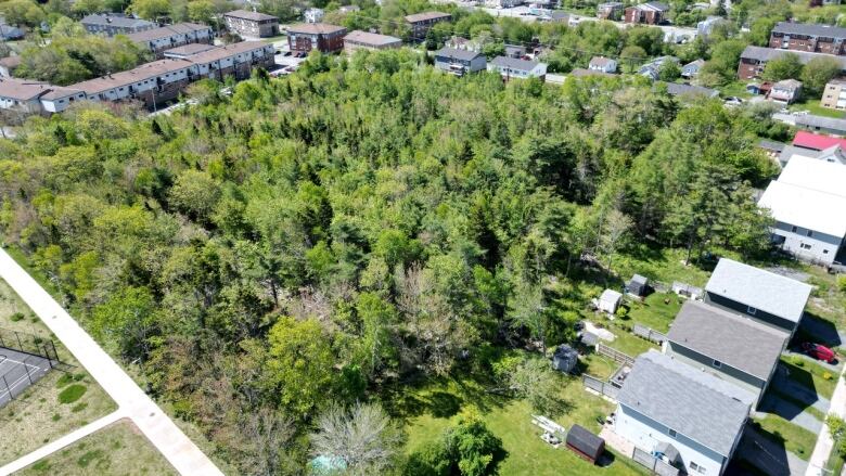 An overhead shot shows green trees in a parcel of land surrounded by low-rise homes