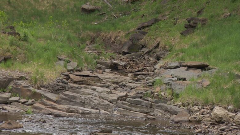 Green riverbank slopes down to slabs of rock above a very low stream.