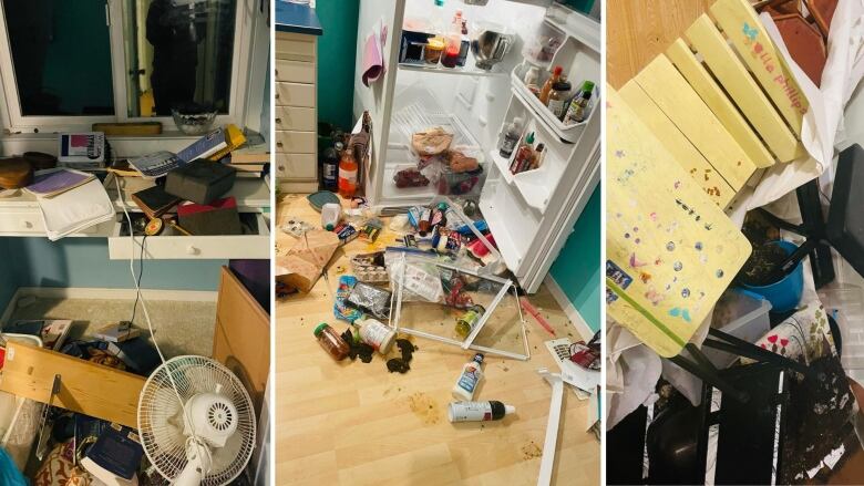 A college photo showing to images of damage a bear did to a home in Rossland, B.C., including opening the fridge and emptying the contents onto the floor as well as upending potted plants and spilling them onto the living room floor.