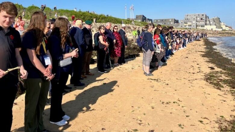 Hundreds of people standing in lines on a beach