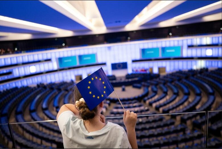 A person waves a flag as the look over an empty parliament assembly room.