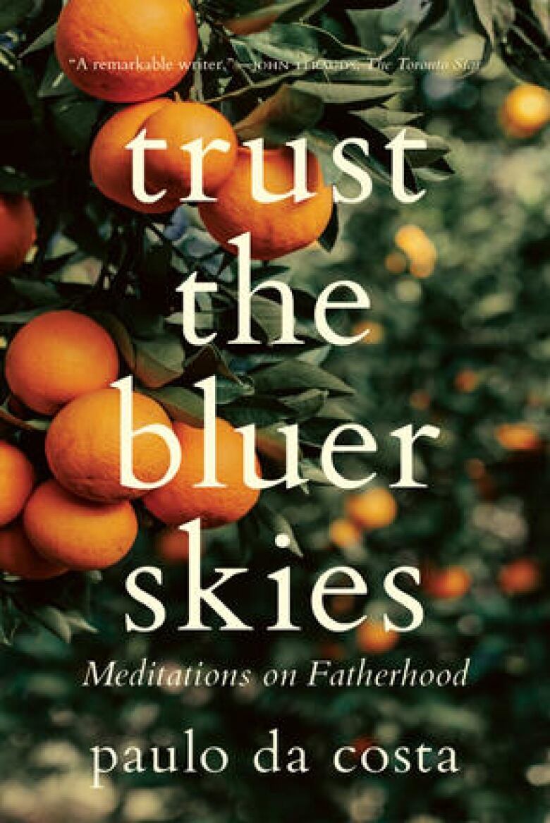 Trust the Blue Skies by paulo da costa. Book cover shows a picture of an orange tree.