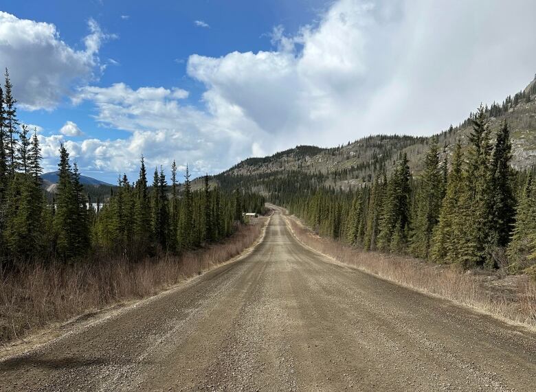 The photo shows a dirt road surrounded by wilderness. 