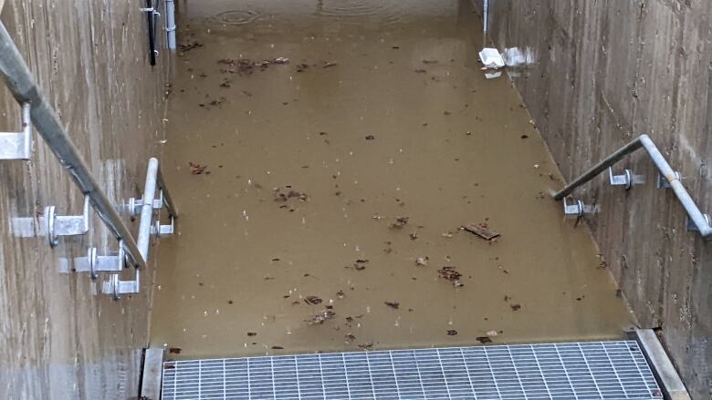 A pool of standing water almost reaching the top of an exterior basement door is shown at a municipal recreation facility.