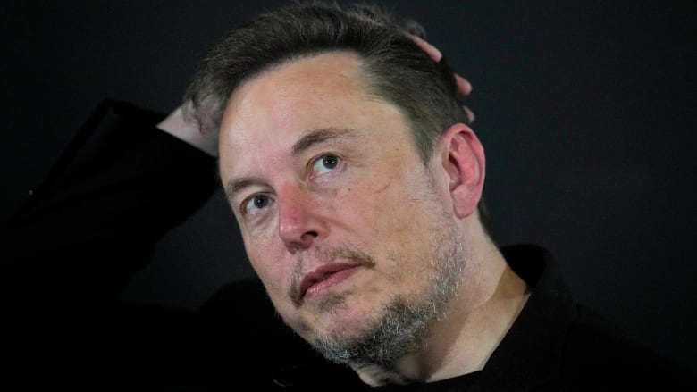 A portrait photo of billionaire Elon Musk. 