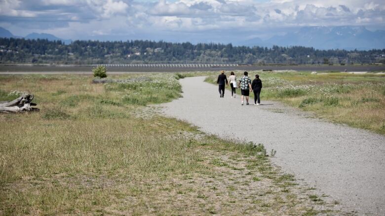 four people walk on a path with grass on either side, mud, hills, mountains and clouds in the distance.