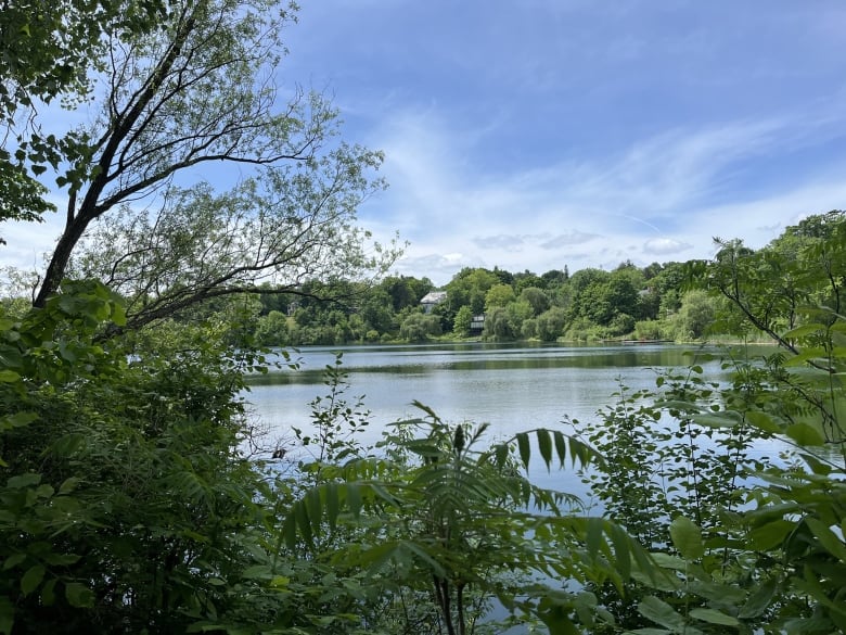 view of west side of McKay Lake from east side conservation area