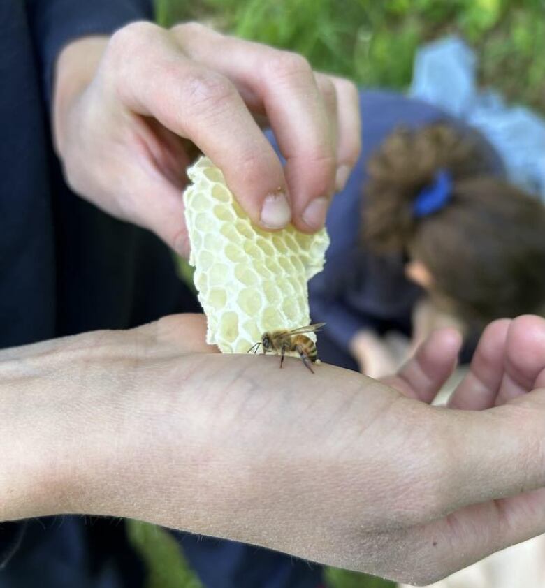 A bee sits on a person's hand.